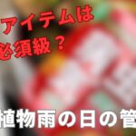 ［雨の日の植物はどうする？］食虫植物を外で育てるときは、取り込むべき？