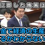 【補助金ビジネス】補助金で経済の生産性が上がるかはわからない【経産省さん減税です】