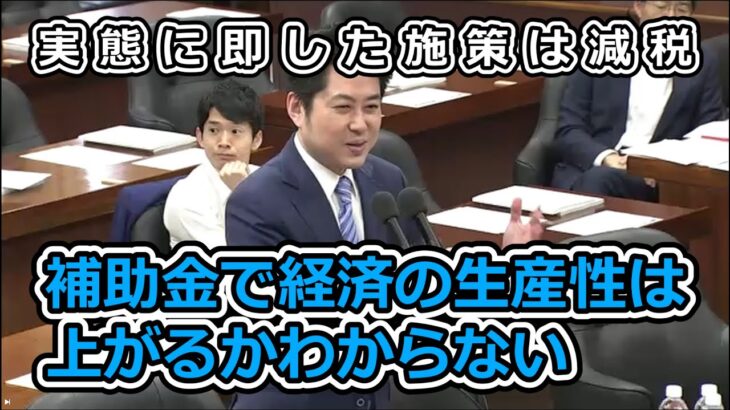 【補助金ビジネス】補助金で経済の生産性が上がるかはわからない【経産省さん減税です】