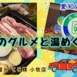 【愛知県小牧市】ビジネスホテル「キャッスルイン小牧」大浴場は嬉しい！厚切りサムギョプサル【韓国情熱屋台】「てじ韓」