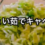 便利なキャベツの下ごしらえ！食感も最高な湯通しキャベツ！作り置き・半調理｜栄養も失いにくい｜キャベツ大量消費