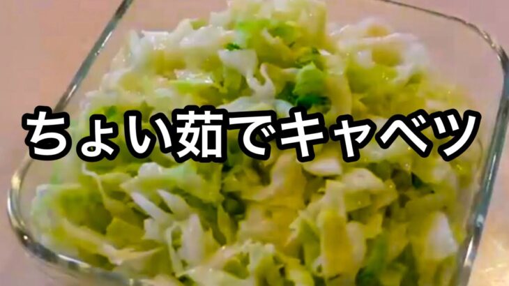 便利なキャベツの下ごしらえ！食感も最高な湯通しキャベツ！作り置き・半調理｜栄養も失いにくい｜キャベツ大量消費