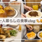 一人暮らしの食事vlog🌭/大葉チーズささみ春巻きを作って食べる/ホットドッグ、マヨコーンチーズパン、ジャージャーうどん