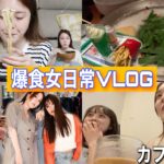 【vlog】リアルな食生活🍜家の電気止まるし泣いて笑っての6日間に完全密着‼️