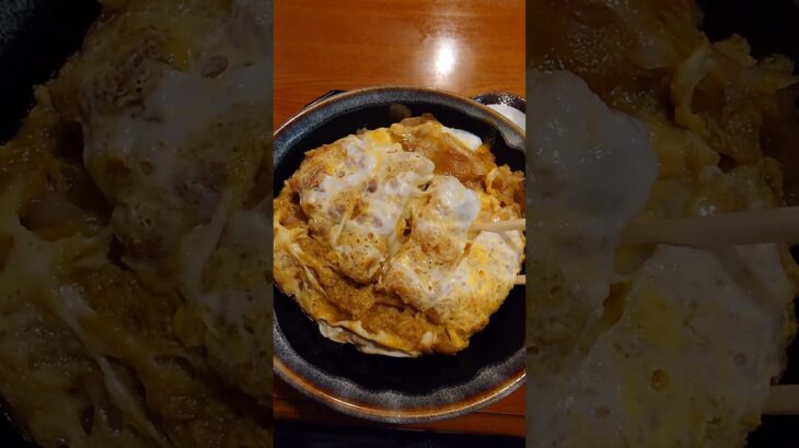 【10食目】長野市中御所のジャンボかつ丼【富くどり食堂】