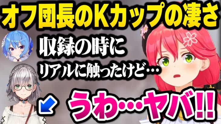 【ホロライブ】ビジネスフレンドな2人のぶっちゃけトークが面白過ぎるマシュマロまとめ【切り抜き/さくらみこ/星街すいせい】