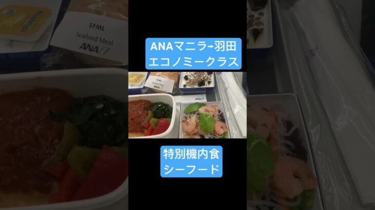 2023.06.18 ANA マニラ→羽田　エコノミークラス 特別機内食 シーフード #staralliance #機内食 #ANA