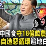 【關鍵時刻全集】20230721 習近平喊「吃中國食」守18億畝農地底線 旱澇曝「自造惡循環」土地鹽鹼遍地白土！？美軍公告天下！「滅國神器」逼近中國家門前 70%核彈神出鬼沒威懾習近平！？｜劉寶傑