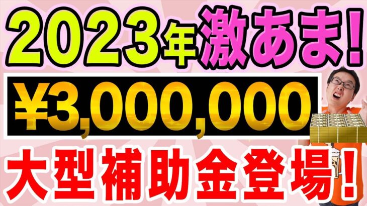 【2023年激甘！】３００万の大型補助金がきた！採択基準ユルユルで1/2が通るもはや誰でも貰えてしまう補助金！【個人事業主、経営者、法人、節税、給付金、補助金】