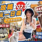 🇯🇵2023原宿食買玩攻略！超療癒貓咪CAFE😽專櫃香水護膚品任試女生美妝天堂！💄Godiva VS 藏壽司最新Crepe！其中一個有伏😭｜東京自由行｜日本菇菇菇｜Flyday HK