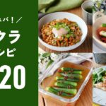 【オクラレシピ20選】今が旬！ネバネバ食感がクセになる♪｜macaroni（マカロニ）