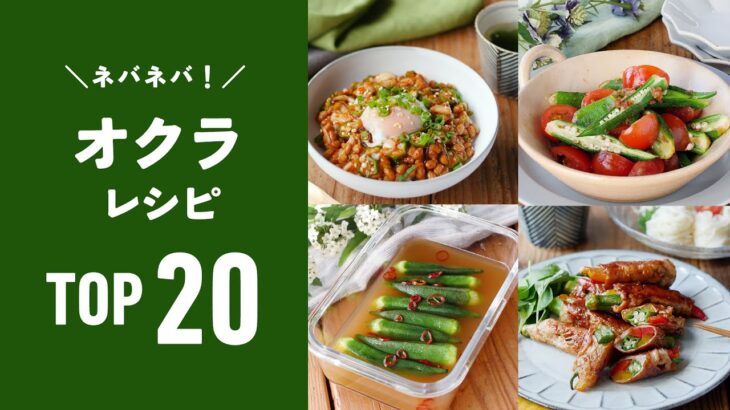 【オクラレシピ20選】今が旬！ネバネバ食感がクセになる♪｜macaroni（マカロニ）