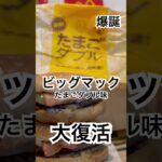 【マクドナルド226食】爆誕『新しいビッグマックたまごダブル味』取材拒否 全店制覇 下北沢で深夜大量に食べてみた 0608