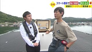 「食」を効率化！愛媛でも「フードテック」　海と陸の最先端に注目【愛媛】 (23/06/10 15:20)