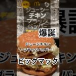 【マクドナルド231食】爆誕『新ビッグマックジューシチキンブラックペッパー味』取材拒否 全店制覇 渋谷で深夜大量に食べてみた 0608