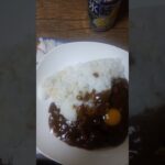 一日一食生活、その282。レトルトカレー。