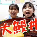 【大食い】巨大ウナギ丼🍚完食できるのか🤔⁉️【お米3合】