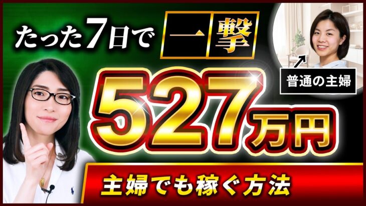 【副業→起業】在宅で一撃527万円稼いだ主婦のリアルノウハウ「初心者必見Webマーケティングのコツ」