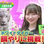 ビジネスバラエティ「御社でインターンよろしいでしょうか？」7/8(土)放送回を一部公開☆AKB48の山﨑空が東武動物公園で1日インターン！【TVerで配信中】