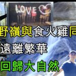 【888】荒山野嶺與食火雞同住  遠離繁華  回歸大自然｜香港人移民澳洲生活實況｜