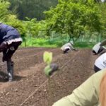 【伝統食復活プロ弱と】京都府住みます芸人木下弱のBSよしもと企画「京丹波町の伝統食復活と伝統食商品化」第14弾