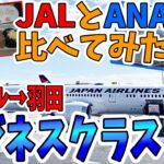 【JALビジネスクラス】ハワイ帰国便をANAと比べてみた！ホノルル空港の様子｜サクララウンジ｜JAL SKY SUITE Ⅲ ｜ホノルル→東京羽田｜日本航空｜#ハワイ旅行 #japanairlines