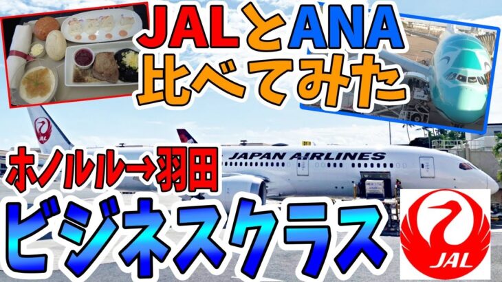 【JALビジネスクラス】ハワイ帰国便をANAと比べてみた！ホノルル空港の様子｜サクララウンジ｜JAL SKY SUITE Ⅲ ｜ホノルル→東京羽田｜日本航空｜#ハワイ旅行 #japanairlines