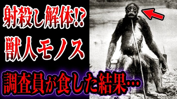 【ゆっくり解説】解体し食されたUMA”獣人モノス”の目撃証言がヤバい…オーパーツ研究者により正体が判明!? 明らかにおかしい…【UMA・未確認生物】