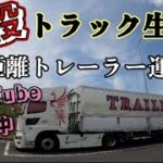 【トレーラー】長距離ドライバーのリアル、食と寝床を 求め彷徨う運転手!!@miyatanchannel