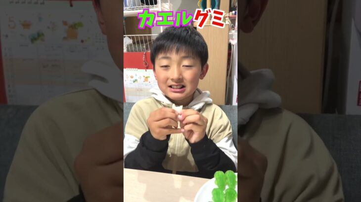 【カエルグミ】リアルな見た目でウマい！ハードな食感がたまらん #shorts #グミ #韓国 #ハリボー #カエル