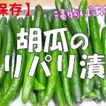 【長期保存】胡瓜のパリパリ漬け『鮮やか緑のパリパリ食感！！箸が止まらない美味しさ！！』