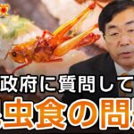 昆虫食の問題について政府に質問してみた｜松田学