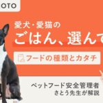 【保存版】ペットフード「総合栄養食」と「一般食」の違い、言えますか？フードの種類と形状を獣医師が解説します【犬猫ごはんの基礎知識】