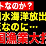 さすが被害者ビジネス大国！韓国漁業関係者が水産物が売れないのはフェイクを流す政治家やエセ専門家だと大騒ぎ！いやいや、あんたらも処理水放出反対してたじゃない！