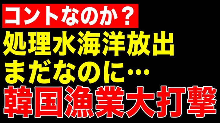 さすが被害者ビジネス大国！韓国漁業関係者が水産物が売れないのはフェイクを流す政治家やエセ専門家だと大騒ぎ！いやいや、あんたらも処理水放出反対してたじゃない！