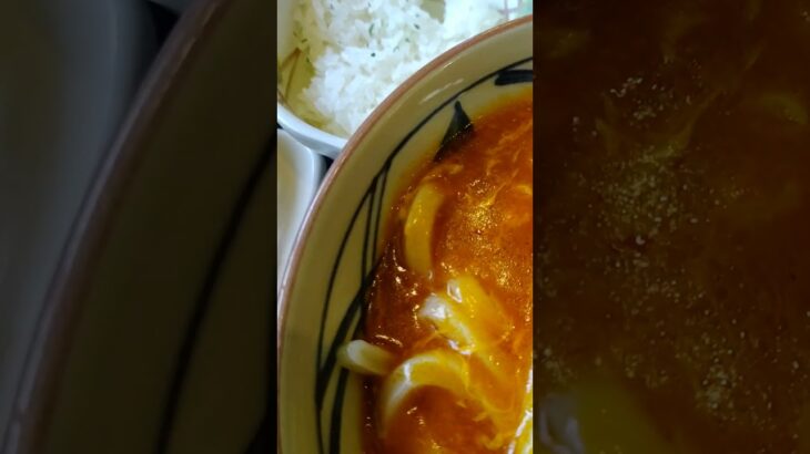 【勝手に宣伝食レポ】丸亀製麺　トマたまカレーうどん（溫）もうすぐ終わるよ、６月中旬まで