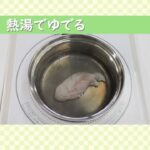 【早良区サザエさん通り食育レシピ】切干大根と小松菜のキムチ和え