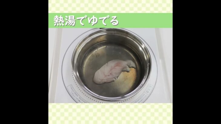 【早良区サザエさん通り食育レシピ】切干大根と小松菜のキムチ和え