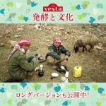 【みるvesta～食文化の世界～】『vesta』特集「発酵と文化」ショートバージョン #Shorts