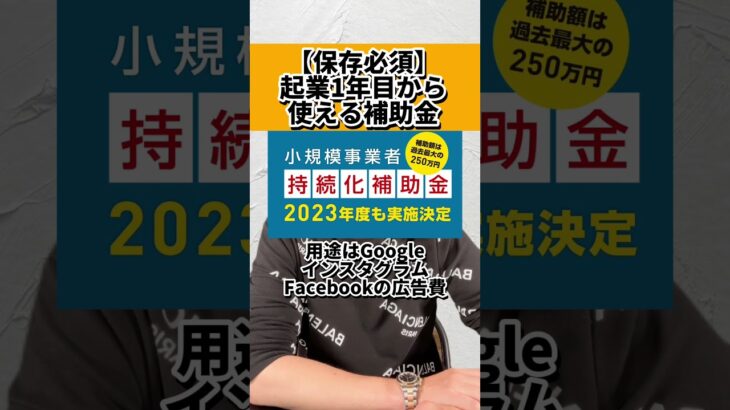 【保存必須】起業1年目から使える補助金