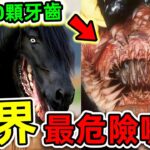 全世界最危险的10個動物嘴巴！食人魚只能排第六，第一名擁有20000顆牙齒，連鯊魚都能輕易撕碎！|#世界之最top #世界之最 #出類拔萃 #腦洞大開 #top10 #動物嘴巴 #最危險嘴巴