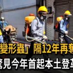 「食腦變形蟲」隔12年再奪命！　北市驚見今年首起本土登革熱－民視新聞