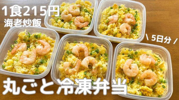 【1食215円】5日分作り置きして冷凍して平日にラクする | 丸ごと冷凍弁当