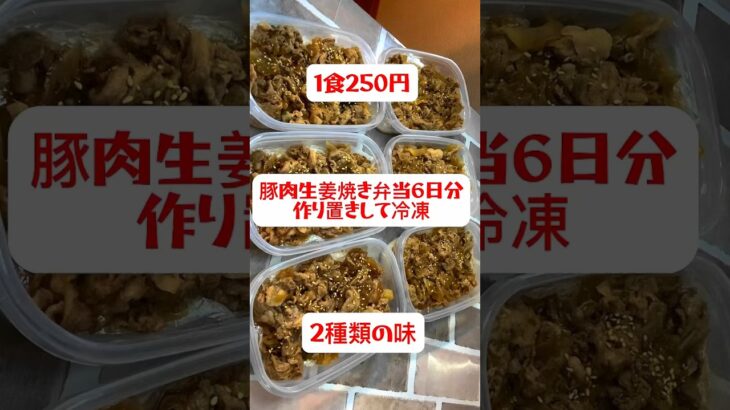 【1食250円】【豚肉生姜焼き弁当】6日分作り置きしてまるごと冷凍する　#shorts #作り置き　#生姜焼き