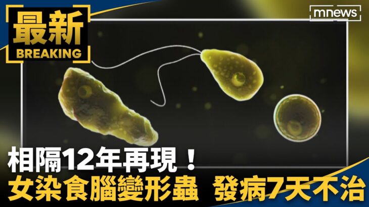 相隔12年再現！　女感染「食腦變形蟲」發病7天不治｜#鏡新聞