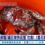 鮮豔”繡花脊熟若蟹”勿食! 1隻可毒死500人 網狀花紋.黑色螯要注意! 可能是”世界最毒蟹” ｜記者 翁婉瑜 林俊華 胡嘉珍｜【LIVE大現場】20230825｜三立新聞台