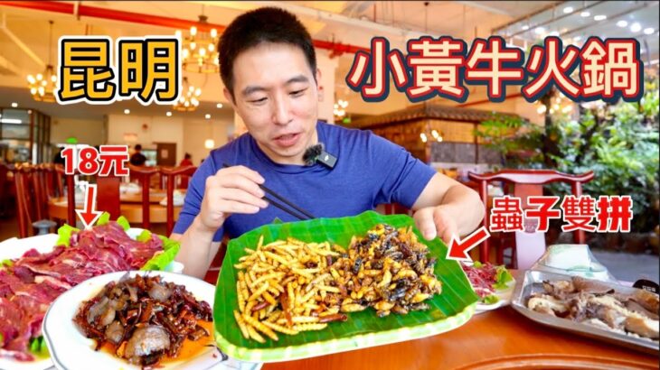 昆明小黃牛火鍋大王，18元鮮切牛肉vs 98元炒蟲子，哪個比較好吃？