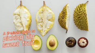 2分钟教你学会挑报恩水果！| How to pick the best and biggest fruit