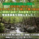 【2023.9.30群馬】「マイナスイオン」と「食」で整う自分体感！東京から2時間の秘境で森林散策セラピーツアー参加者募集