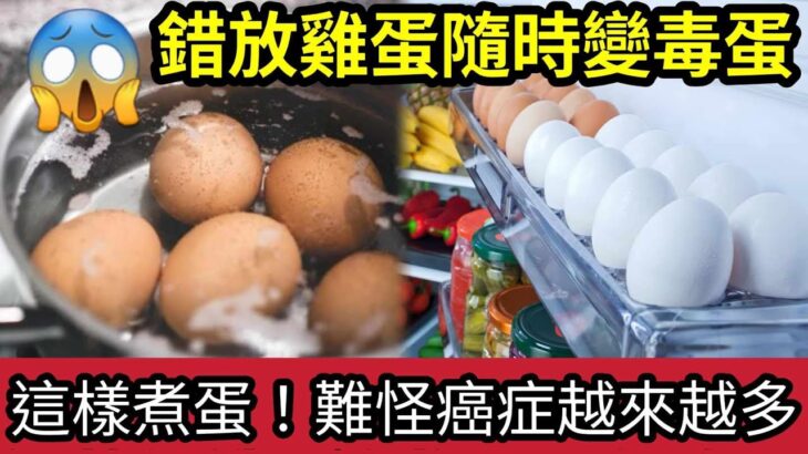 食蛋會生癌？煮食雞蛋「有4大禁忌」怪不得「癌細胞越食越多？」10個老人「九個錯？」好多人「不知道」雞蛋買返屋企「錯放雪櫃」秒變毒蛋？